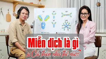 Bác sĩ Trần Văn Phúc: Miễn dịch là gì và cải thiện hệ miễn dịch như thế nào?