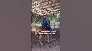 Making Statements, Not Suggestions! Part 13! | The Horse Guru-Michael Gascon