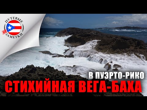 путевые НЕ заметки | Пуэрто-Рико: Стихийная Вега Баха