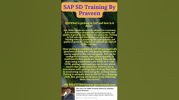 SAP SD Training By Praveen #sapsdtraining #sapsd #sapsdtrainingbypraveen