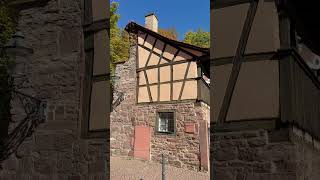 Германия #travel #shorts #германия #отдых #европа #germany #сегодня #природа #красота #реки