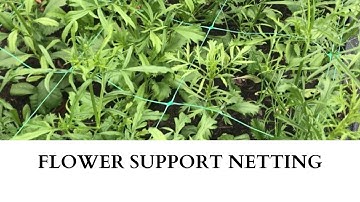 Flower Support Netting | Cut Flower Garden | Flower Farming