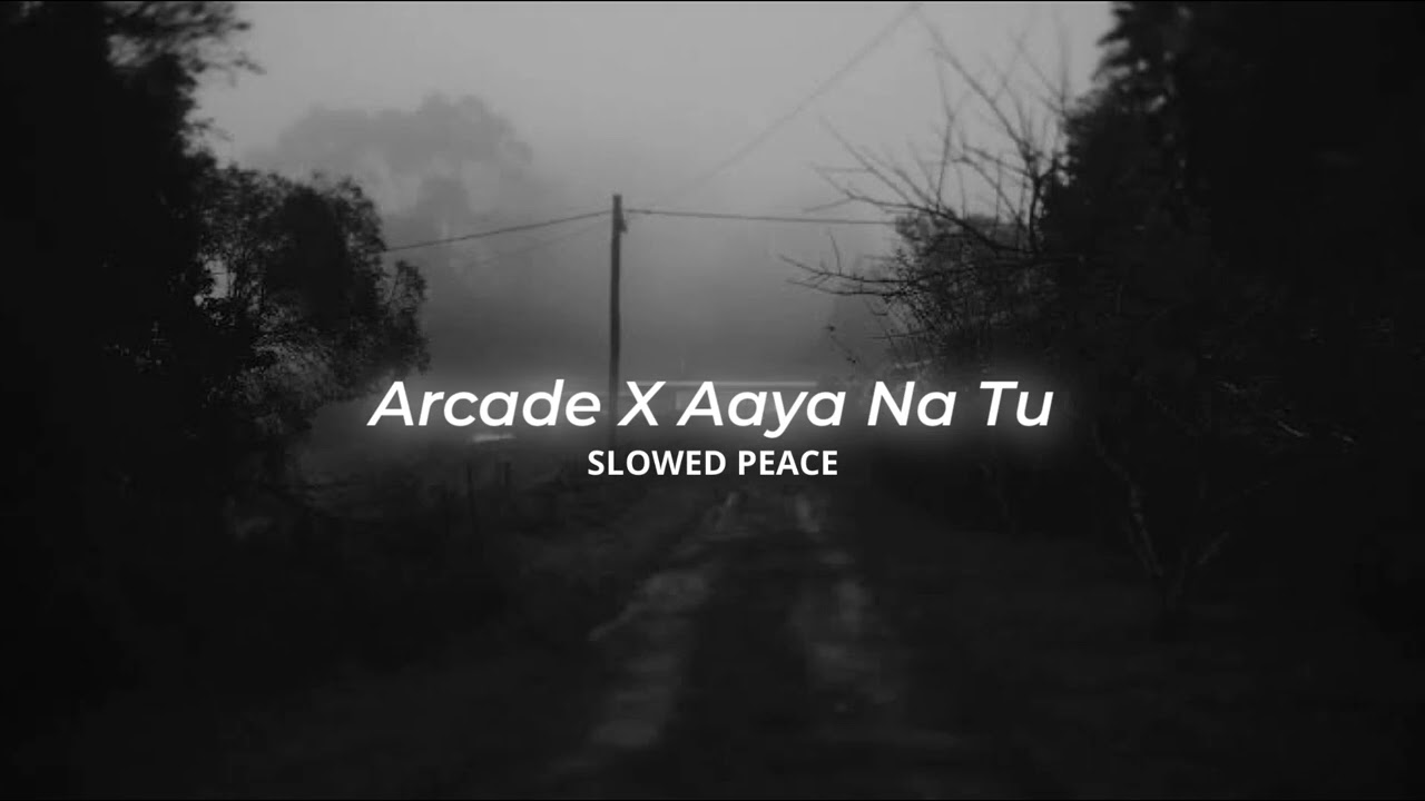 Arcade X Aaya Na Tu Perfect Slowed  Reverb Bonus