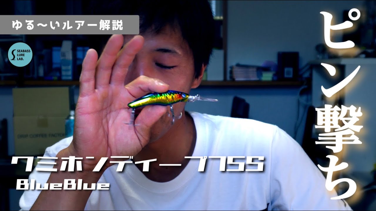 Casual Lure Commentary] I love the Kumihon Deep 75S! [Seabass