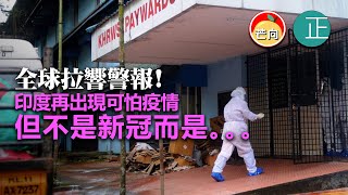 20210910C 全球拉響警報!印度再出現可怕疫情,但不是新冠而是⋯⋯|芒向早晨