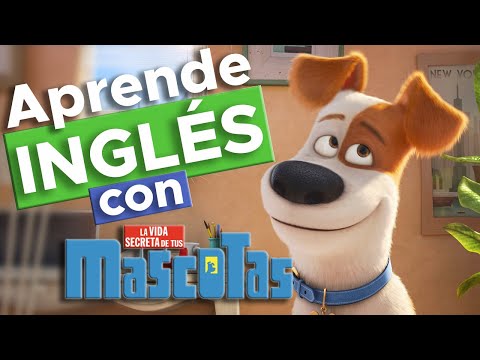 Video: 9 de las posiciones de sueño para perros más divertidas