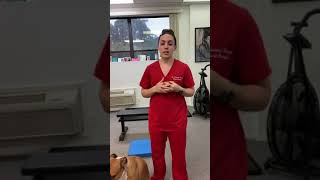 Femoral Nerve Glide- Get Rid of Knee Pain