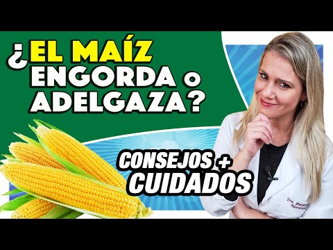 Vídeo: 6 Razones Por Las Que Debería Incluir El Maíz En Su Dieta