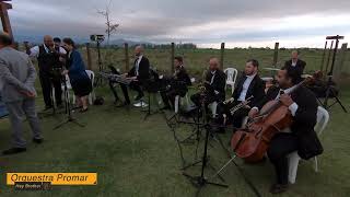 Orquestra Promar Eventos | Hey brother (Cover)