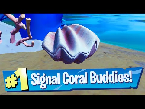 Signal the Coral Buddies Location – Fortnite Battle Royale