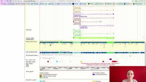 Module5: session 2 video 2