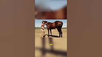 Самая Умная Лошадь 🐴
