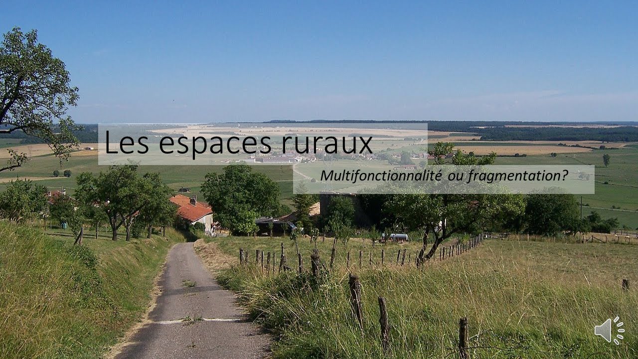 Espaces ruraux: multifonctionnalité ou fragmentation? (Conclusion