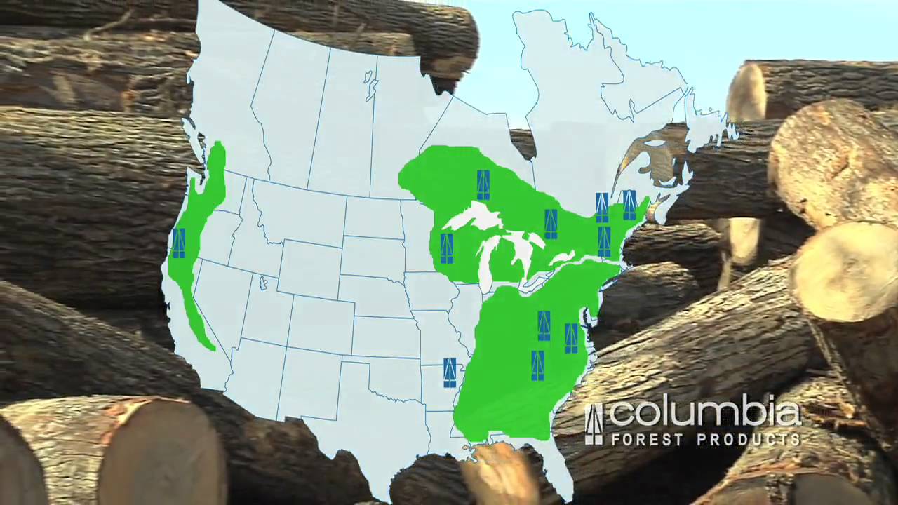 Columbia Forest Products Helicopter Logging in West Virginia © 2010