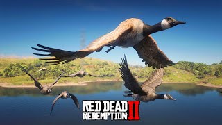 Migração de GANSO-DO-CANADÁ (Canada goose) - Red Dead Redemption 2 screenshot 4