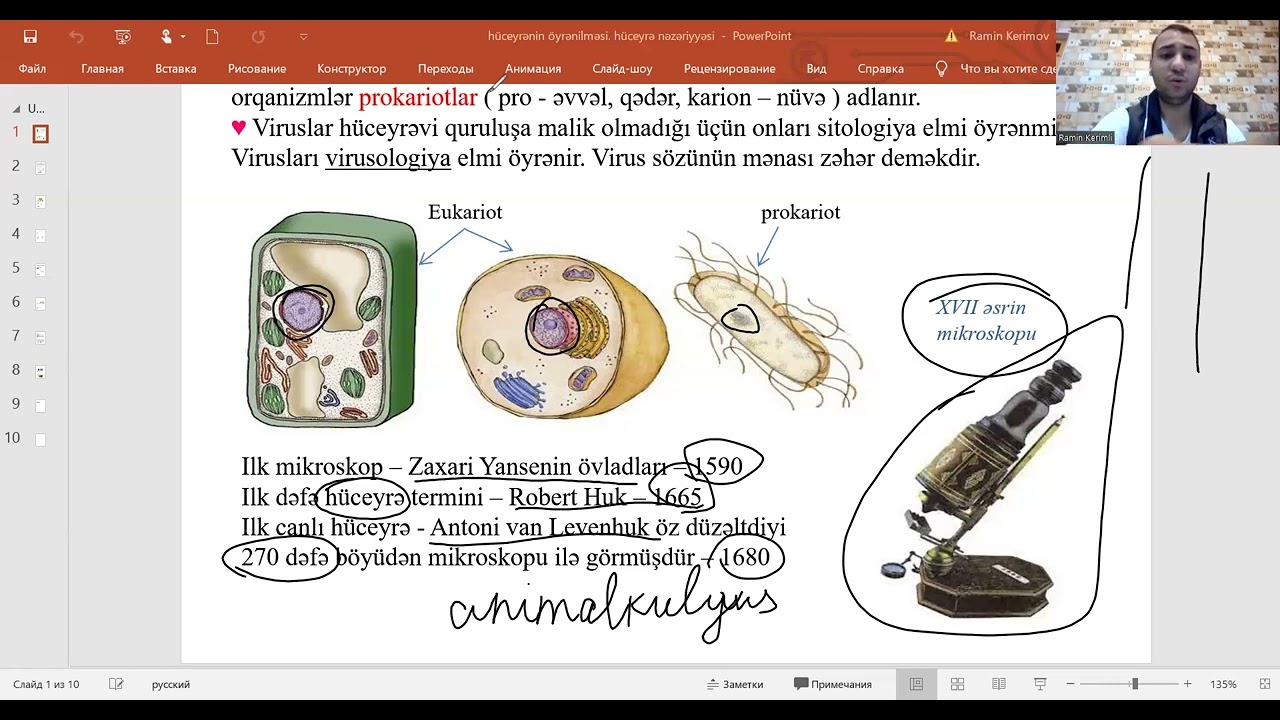 sitologiya aprel qrupu dərs izahı