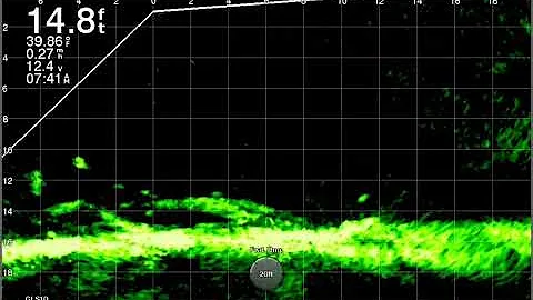 Livescope Crappie Fishing Lake of the Ozarks