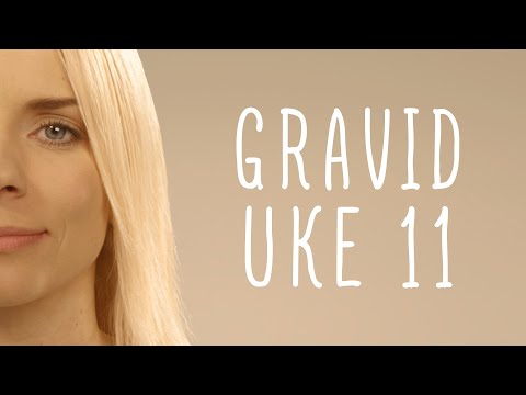 Video: Ellevte Uke Med Graviditet