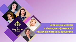 О команде Wise Energy Group