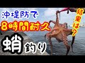 沖堤防8時間耐久東京湾タコ釣り！タコエギに業務スーパーイワシとデビルクローとタコライダー付けてみた！川崎新堤防