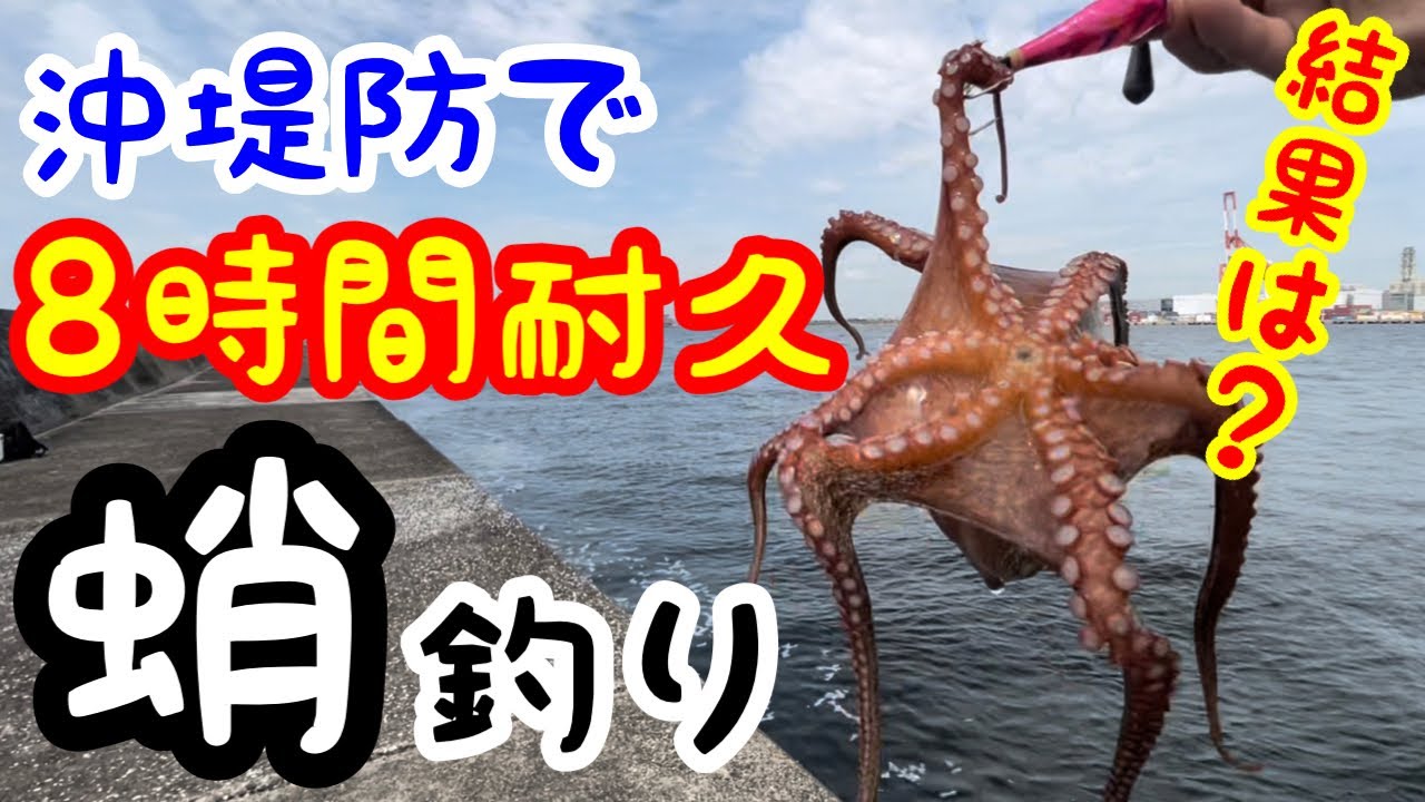 沖堤防8時間耐久東京湾タコ釣り タコエギに業務スーパーイワシとデビルクローとタコライダー付けてみた 川崎新堤防 魚釣り系you Tuberまとめサイト Fishing
