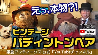 本物ビックサイズ！】ビンテージ パディントンベアの紹介!! Big Size