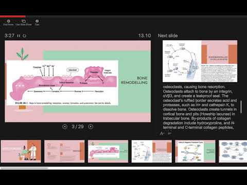 Farmakoterapi Osteoporosis