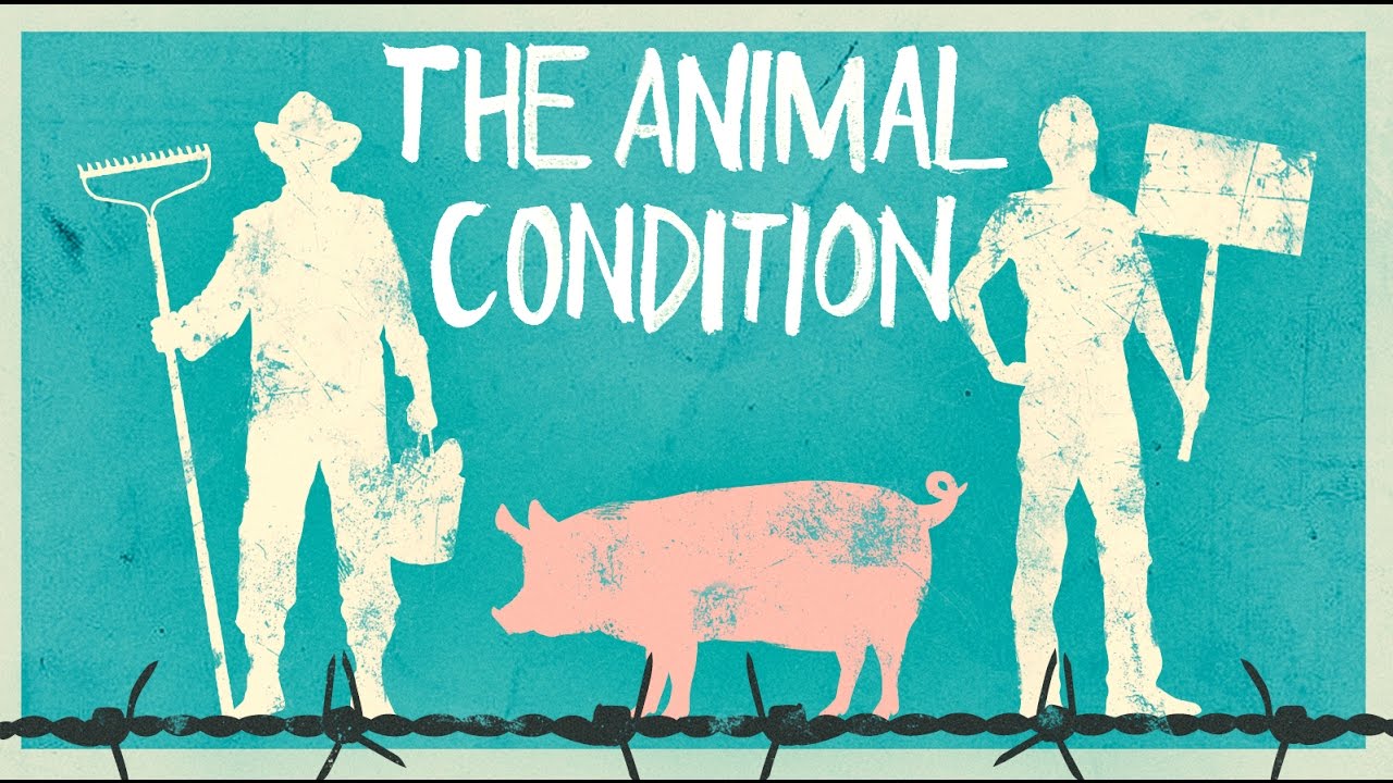 The Animal Condition - Official Trailer