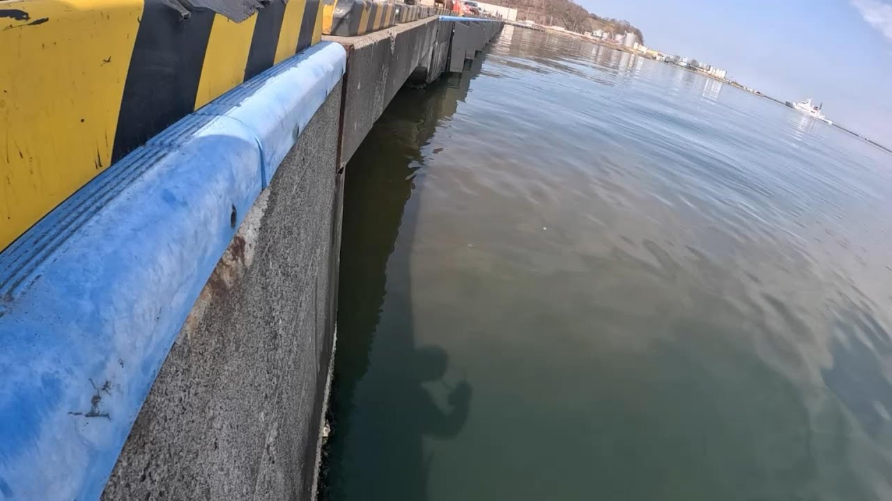 小樽 北浜岸壁にある排水路で釣りした結果…