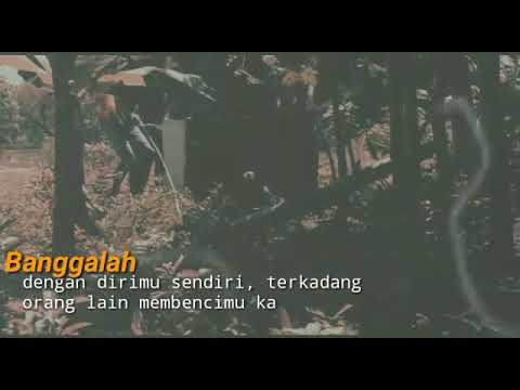 STORY petasan bambu