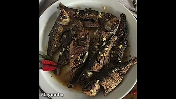Best Mozambique Food SERBA9 Shorts 