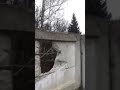 У Харкові під обстріл «Града» потрапив  цвинтар