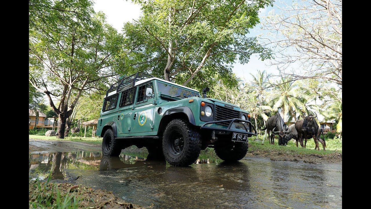 42. Safari reis