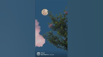 ﴿و إن من شيءٍ إلا عندنا خزآئنه و ما ننزله إلا بقدر معلوم﴾ سورة الحجر • هزاع البلوشي