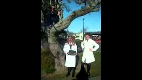 Napier Girls High School "The Shortest Flood Disaster Movie Ever"