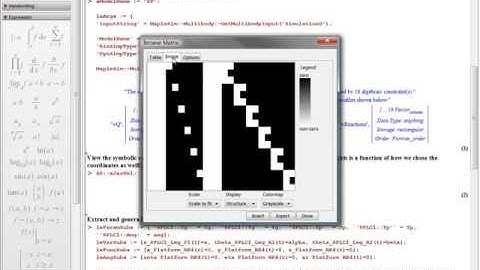 MapleSim: Sophisticated analysis tools