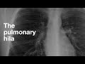 The Pulmonary Hila