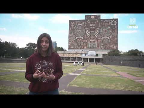 Testimonio Itzel Alexa Tornel Carmona