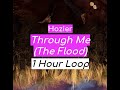 Hozier Through Me The Flood 1 HOUR