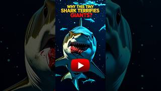 Why Cookiecutter Sharks Bite Giants!" #CookiecutterShark #Shorts #DeepSeaCreatures