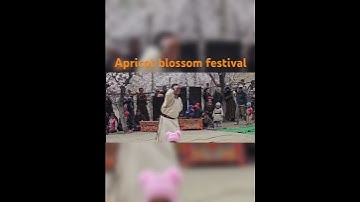 Thumbnail of #beautiful #apricot #blossom #festival