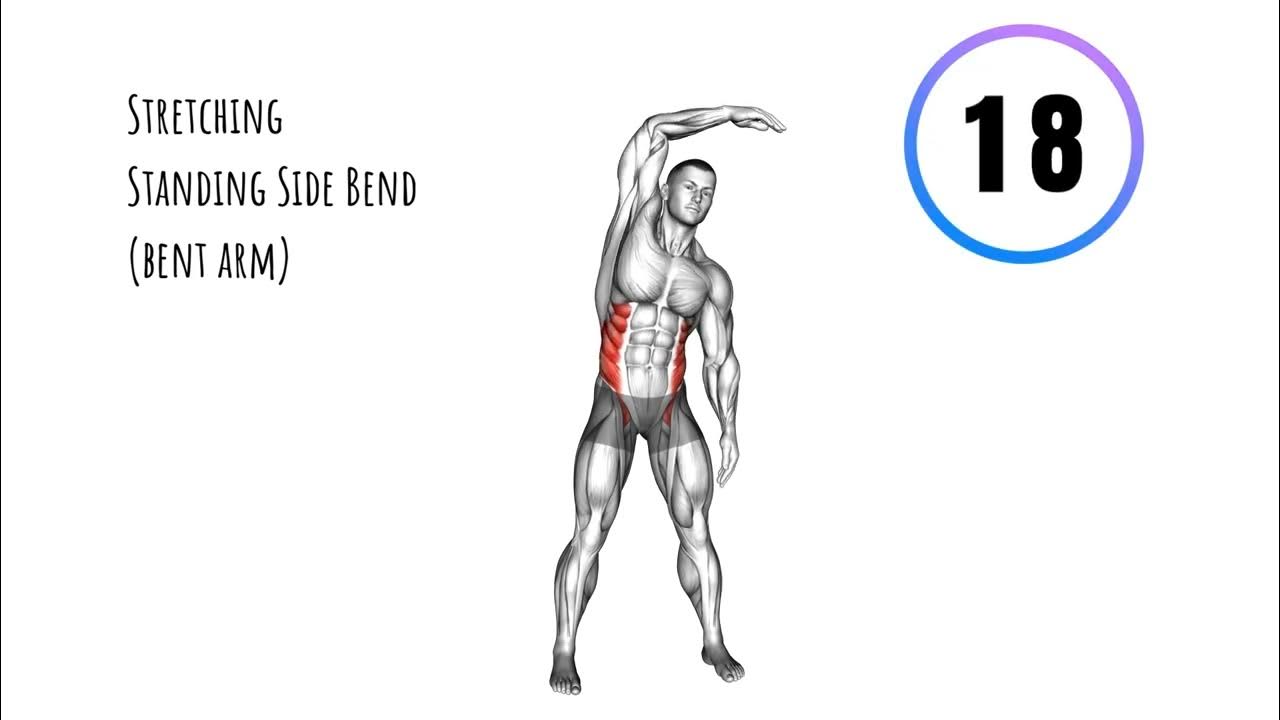 Abs Exercise fat burn Home Workout YouTube