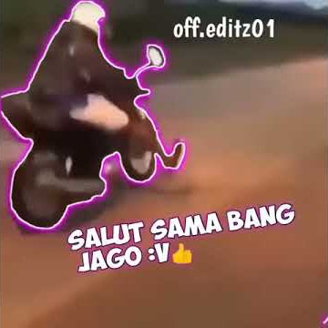 Salut sama bang jago