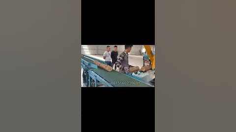 Automatic timber Log wood multiple rip cutting saw machine