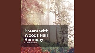 Wind Breeze Harmony