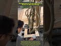 Master Woodworking Techniques for Natural Integration 👍