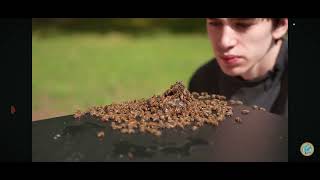Dr plant just raised 10,000 bees...