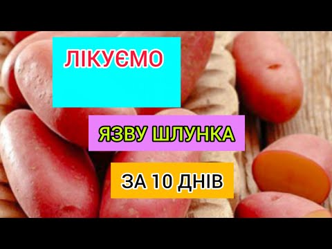 Как вылечить язву желудка, гастрит картофелем за 10 дней