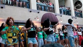 The 2014 Texas State Yard Show: Alpha Phi Alpha Fraternity Inc.