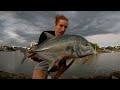 I Fished This Lure Everyday For A Week | Gold Coast Land Based Fishing | Mangrove Jacks & GT